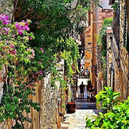 Hvar 8 Min To The Appartement
